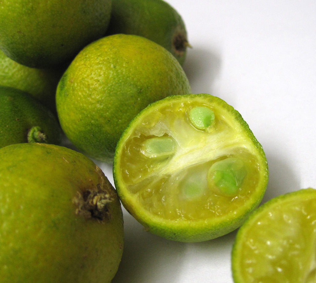 Scheibel Future of Taste GINIE – Mystic Touch – Tropical Gin Liqueur 0,7L 35% vol.