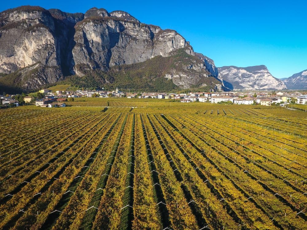 Brennerei Bertagnolli - Grappa Gran Grappino Barrique - Flasche 0,70 Liter - 42% Vol.