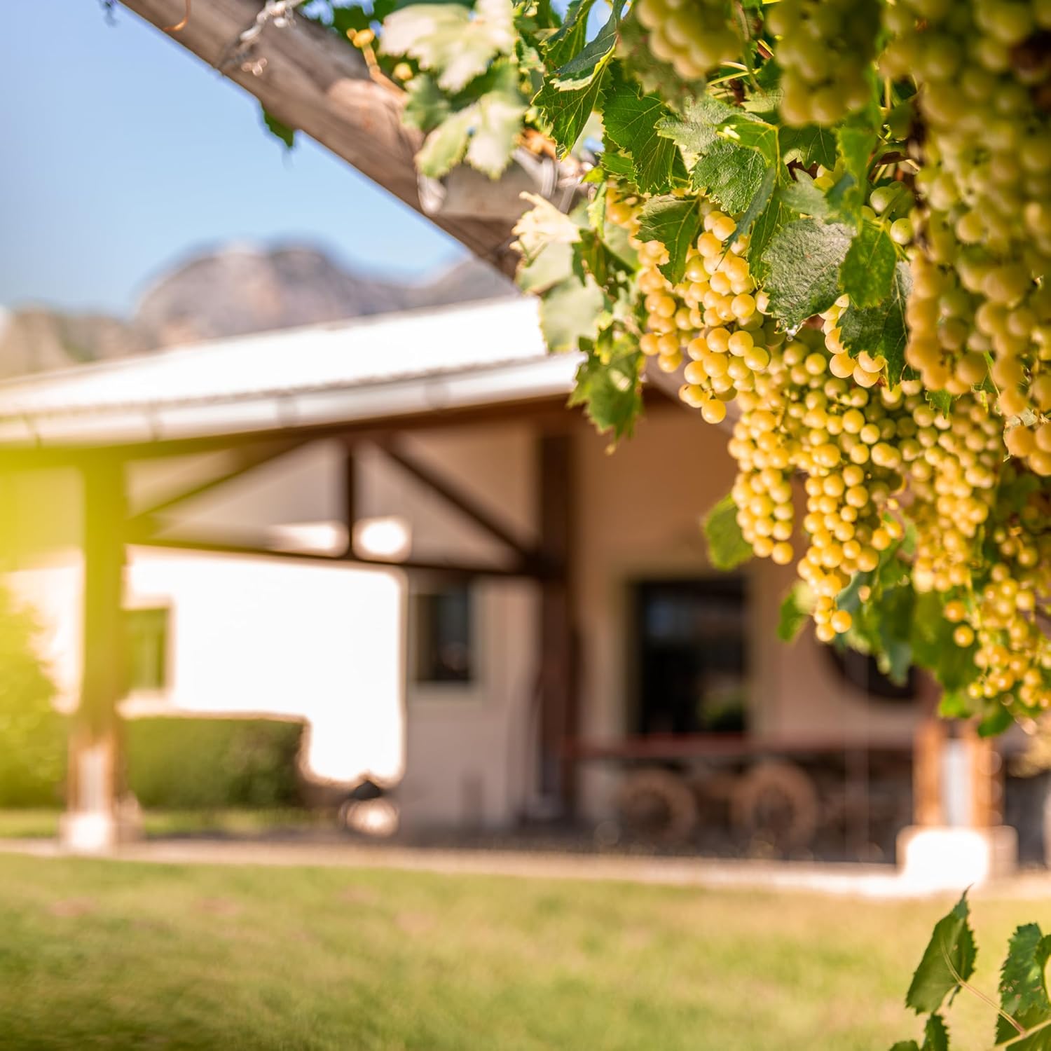 Brennerei Bertagnolli - Grappa Gran Grappino Barrique - Flasche 0,70 Liter - 42% Vol.